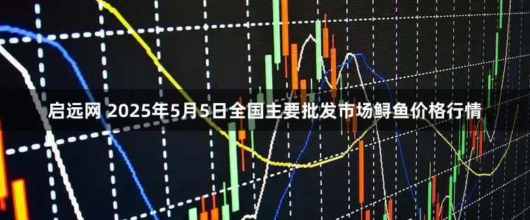启远网 2025年5月5日全国主要批发市场鲟鱼价格行情