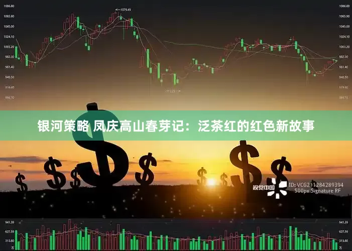 银河策略 凤庆高山春芽记：泛茶红的红色新故事