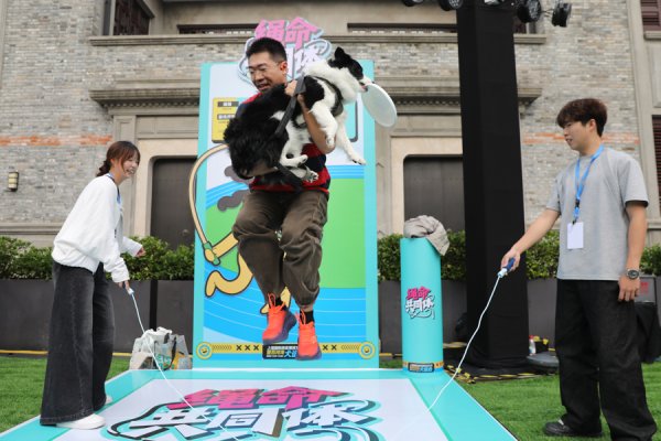 金诚无忧 狗狗飞盘、跨栏！上海这场“犬运会”启幕，看“毛孩子”如何解锁跨界新体验